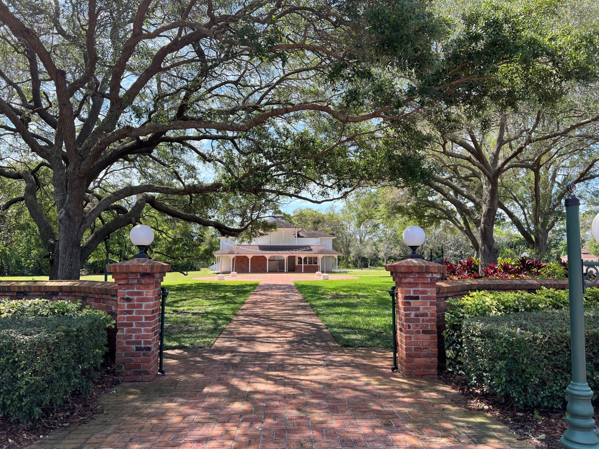 An oak-lined brick path leading to the Estate in Clearwater